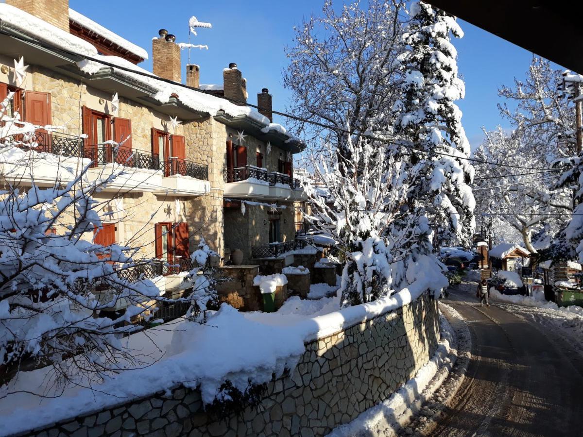 Mysaion Hotel Synikia Mesi Trikalon Exterior foto