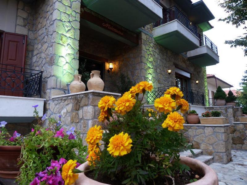 Mysaion Hotel Synikia Mesi Trikalon Exterior foto